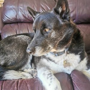 Meet your Posher, Patricia